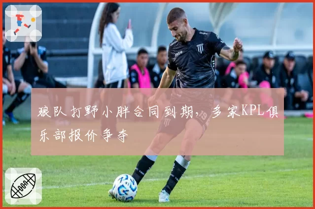 狼队打野小胖合同到期，多家KPL俱乐部报价争夺