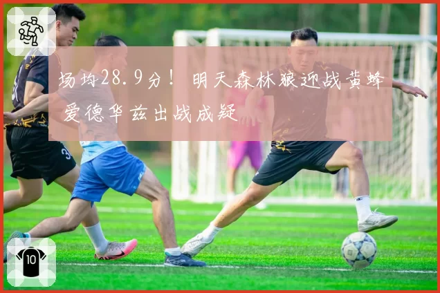 场均28.9分!明天森林狼迎战黄蜂 爱德华兹出战成疑