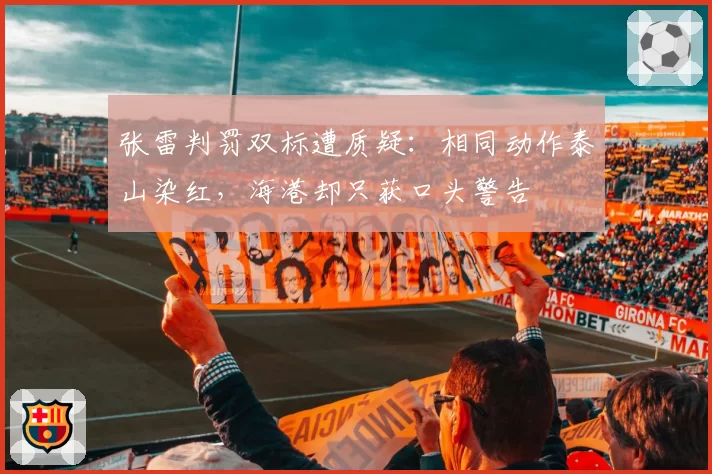 张雷判罚双标遭质疑：相同动作泰山染红，海港却只获口头警告