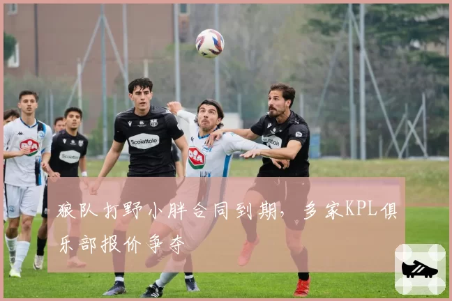 狼队打野小胖合同到期，多家KPL俱乐部报价争夺