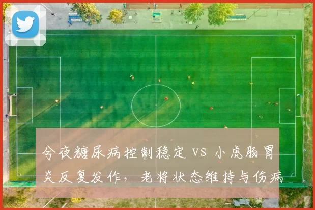 兮夜糖尿病控制稳定 vs 小虎肠胃炎反复发作，老将状态维持与伤病管理差异